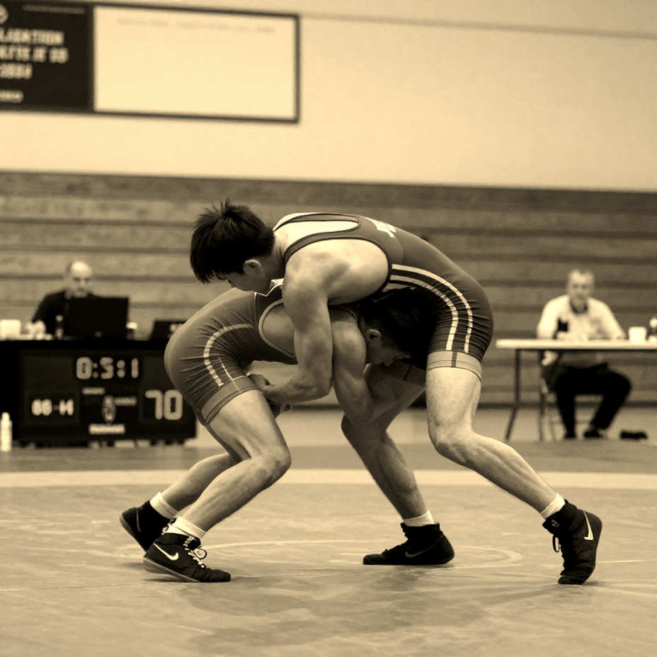 From 100 Grams in Paris to the Domestic Trial Calendar: Auditing Indian Wrestling's Injury Ledger